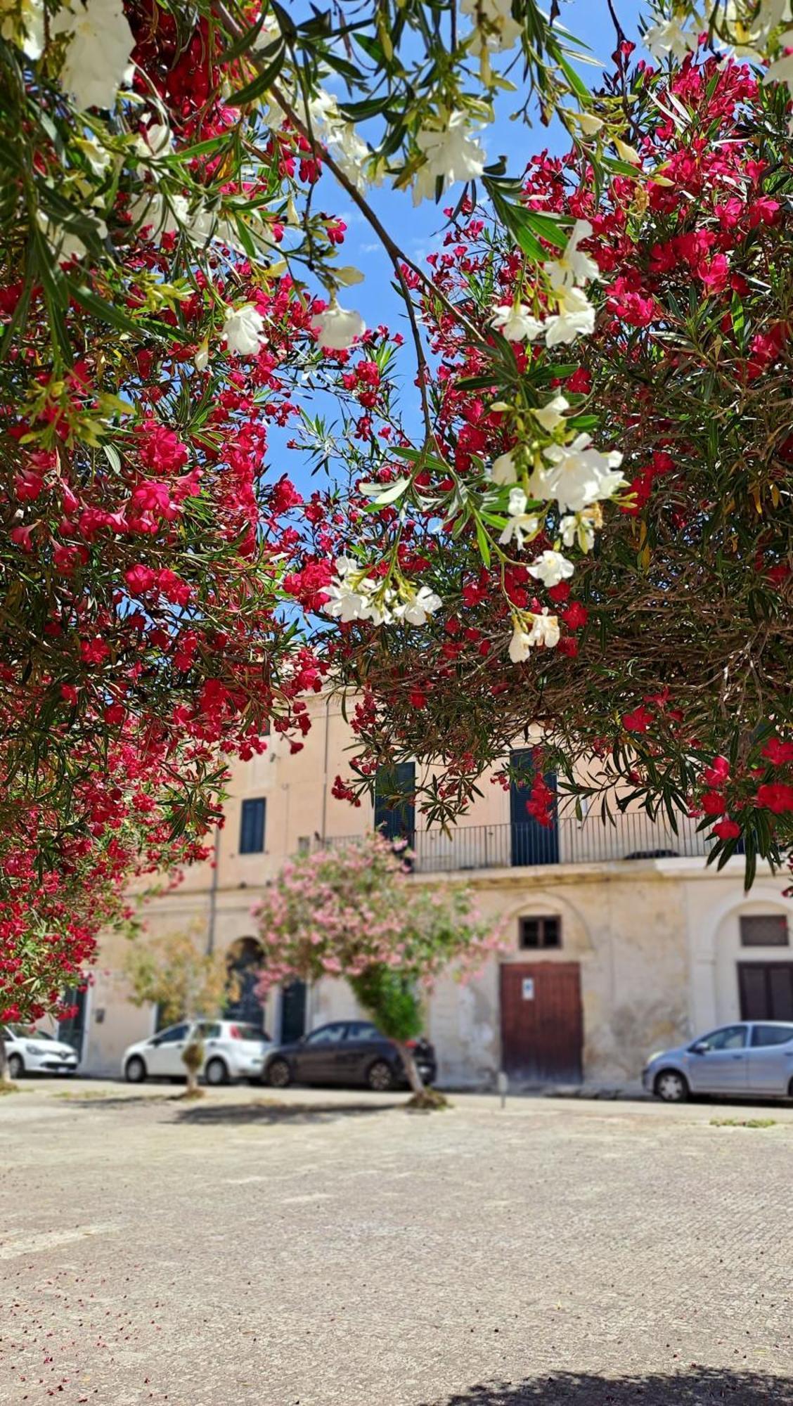 Mayu'S House , Dimora Nel Centro Storico Di לצ'ה מראה חיצוני תמונה